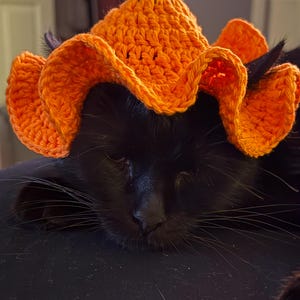 Mac added a photo of their purchase