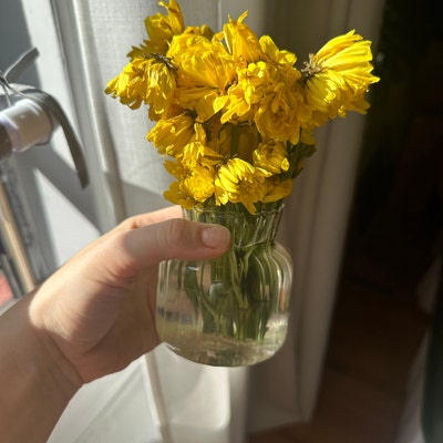 Mini plant inside glass ornament