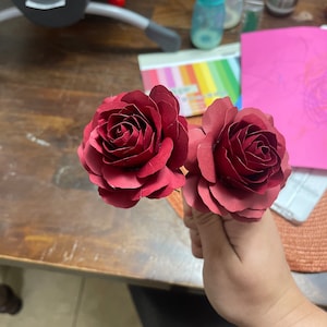 Raelyn ha añadido una foto de su compra
