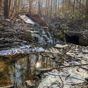 Savannah added a photo of their purchase