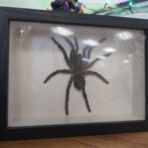 Samantha added a photo of their purchase