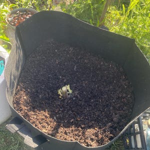 Christine added a photo of their purchase