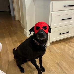 Paige added a photo of their purchase
