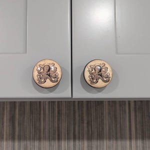 Tracy さんが購入した商品の写真を追加しました