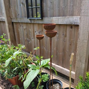 Gwenan added a photo of their purchase