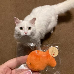 Tammy adicionaram uma foto da sua compra