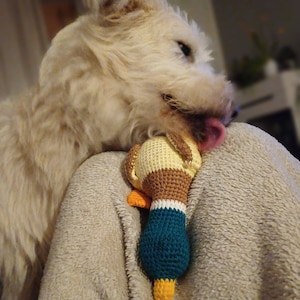 Fanny added a photo of their purchase