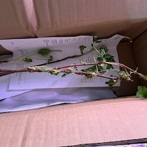 Tina a ajouté une photo de son achat