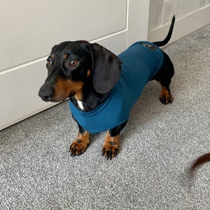 Lewis added a photo of their purchase