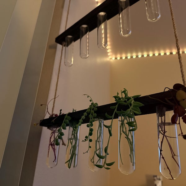 20 Trailing Succulent Strings With 7 Varieties, String of Pearl, String ...