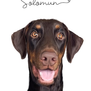 Viviana added a photo of their purchase