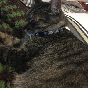 lightning bolt cat collar