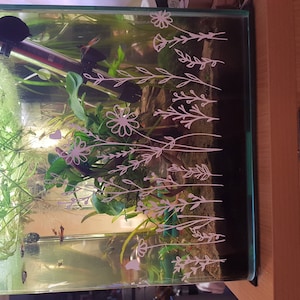 Melanie added a photo of their purchase