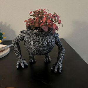 Lera added a photo of their purchase
