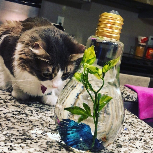 Light Bulbs Salt And Pepper Shakers Gift Set Glass Spice Jar