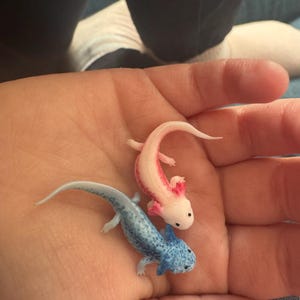Tiffani added a photo of their purchase