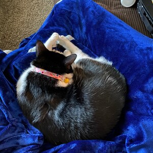 Kelly added a photo of their purchase