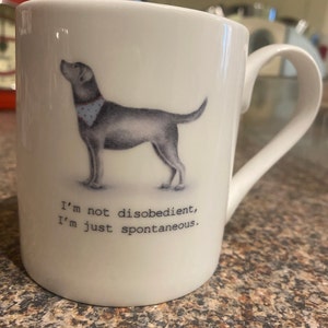 Julia a ajouté une photo de son achat