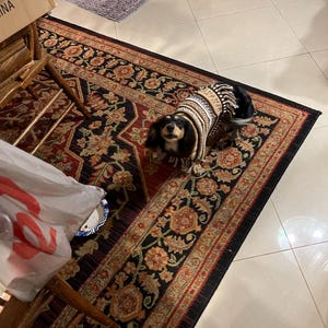 Patricia added a photo of their purchase