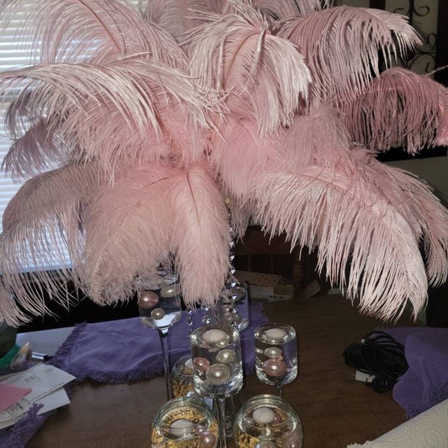 Colored Ostrich Feathers – Diamond Papers & Craft