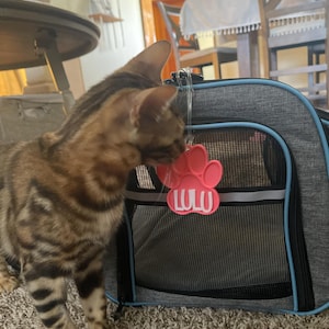 Jennifer added a photo of their purchase