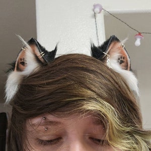 Inactive account added a photo of their purchase