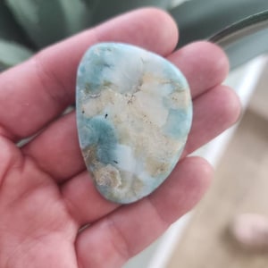 Heather added a photo of their purchase