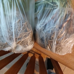Esperanza added a photo of their purchase