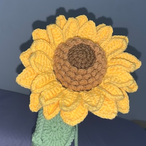 Rin added a photo of their purchase