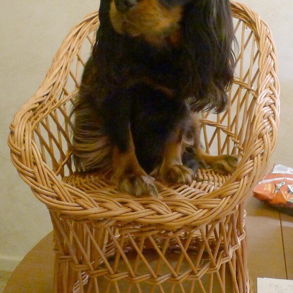 Wicker Kids Chair, Willow Child Chair, Kids Willow Chair, Handmade Kids ...