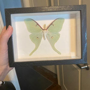 kyi added a photo of their purchase