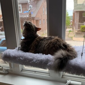 Amanda added a photo of their purchase