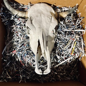 James added a photo of their purchase