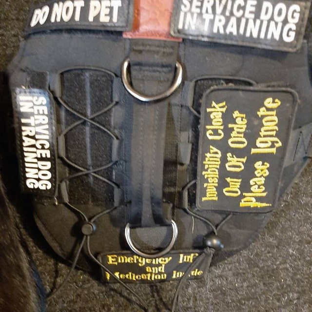 Patch for Working Dog Dog Vest Invisibility Cloak Out of Order Please Ignore Etsy