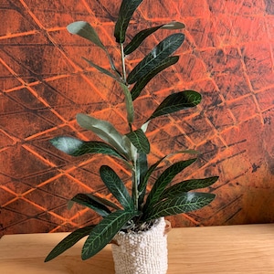 Chad added a photo of their purchase