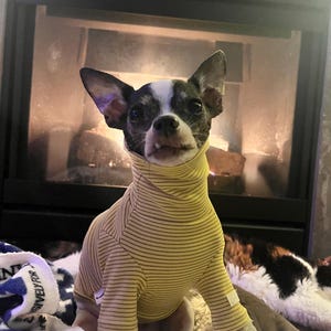 Katie added a photo of their purchase