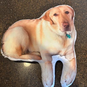 Sydney a ajouté une photo de son achat