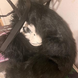 Frankie heeft een foto van zijn/haar aankoop toegevoegd