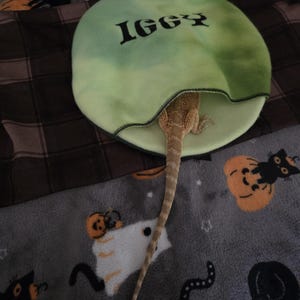 Angel added a photo of their purchase