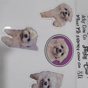 nicky added a photo of their purchase