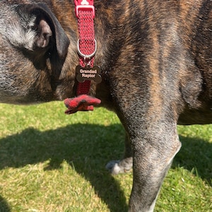 Ruby added a photo of their purchase