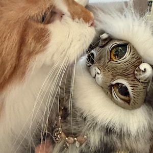 Eva added a photo of their purchase