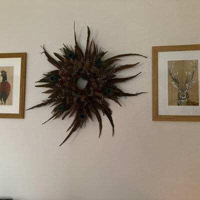 Pheasant Feather Wreath/wall Decor - Etsy