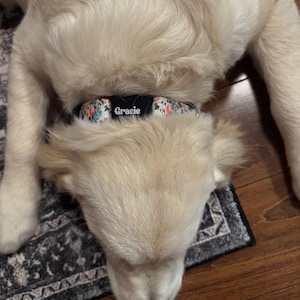 Amy added a photo of their purchase