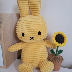 Shiuuli added a photo of their purchase