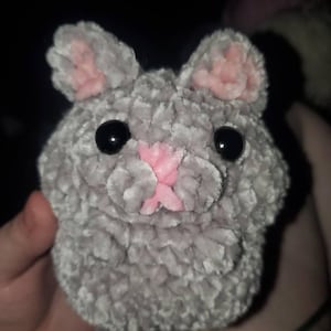 Ray added a photo of their purchase