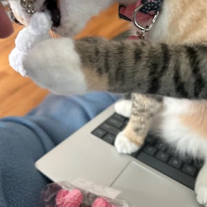 Lisbet added a photo of their purchase