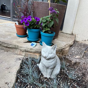 Evan added a photo of their purchase
