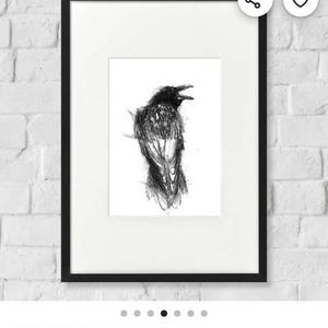 Buy Crow Sketch | Limited Edition Fine Art Print From Original