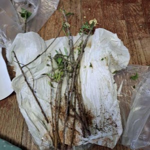 Angenette ha añadido una foto de su compra